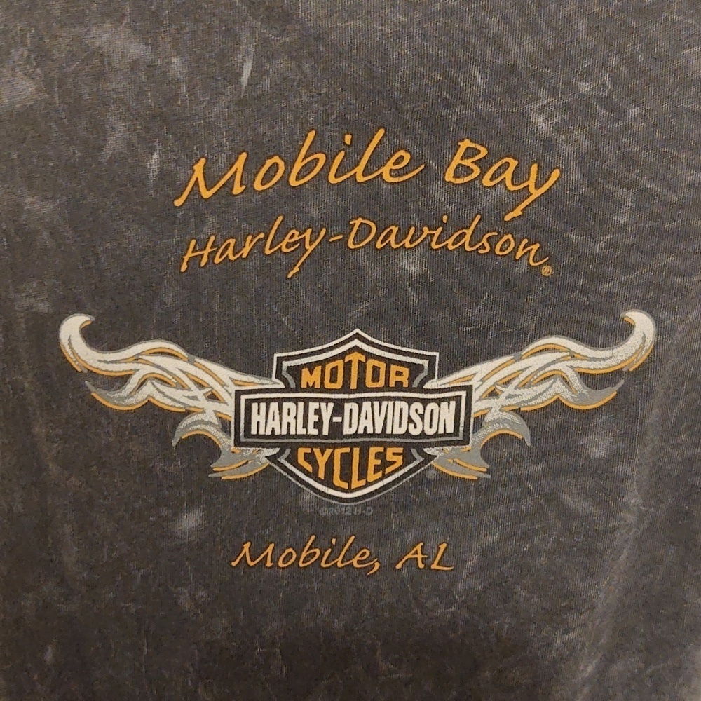 Harley Davidson Women's Short Sleeve TShirt - Picture 4 of 9